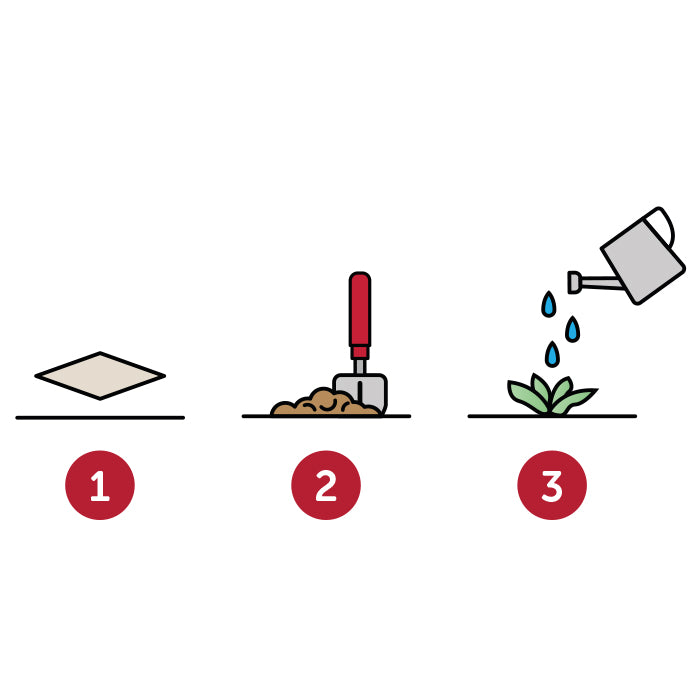 MG6907 Seed paper business card