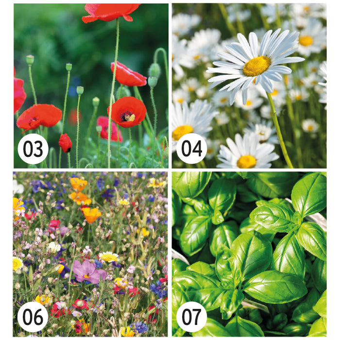 MGOT01 Seed paper coasters