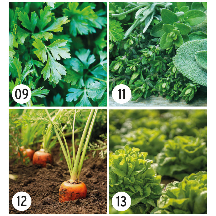 MGOT01 Seed paper coasters