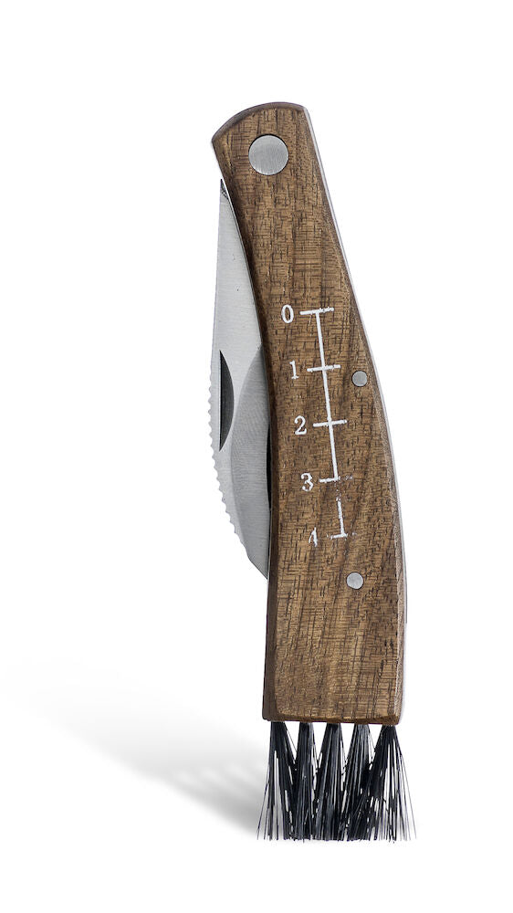 Sieniveitsi kotelossa