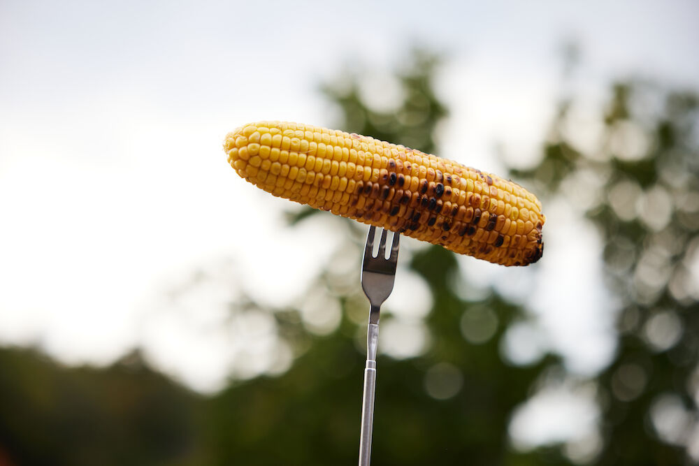 Fredde makkarahaarukka